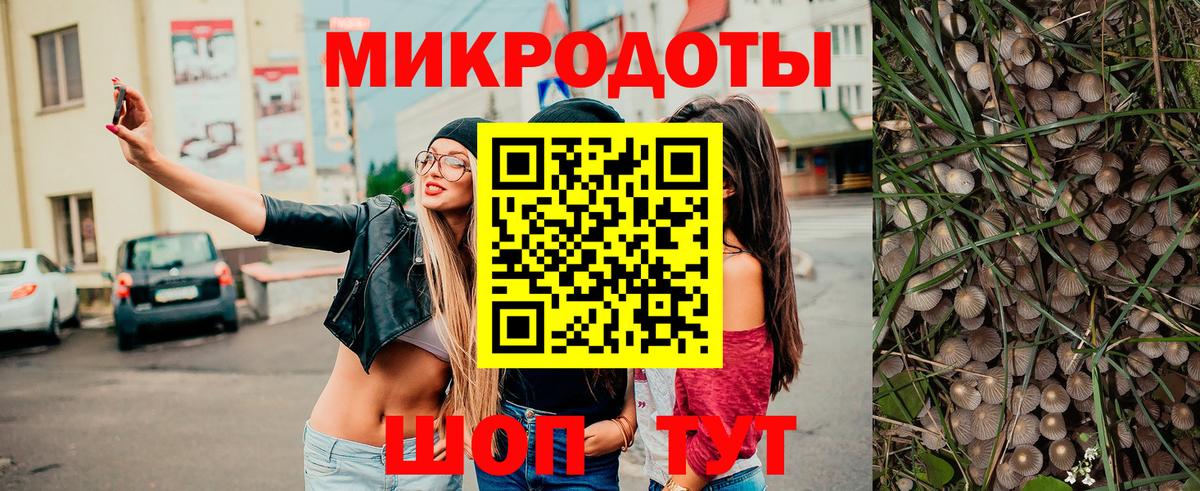 Псилоцибиновые грибы Cubensis Изобильный